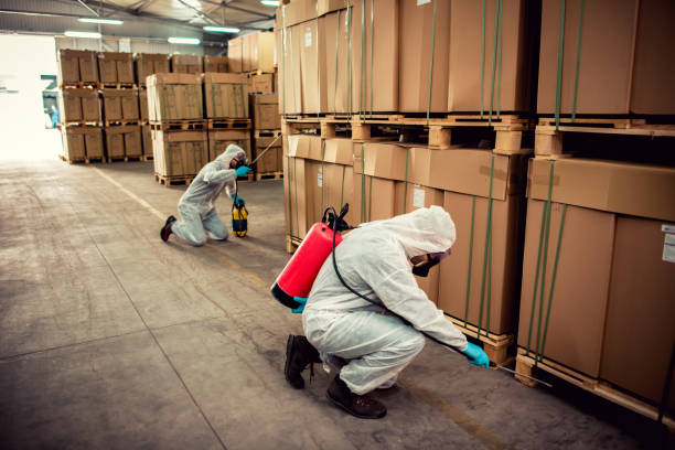 Best Pest Prevention Services  in Sale Creek, TN