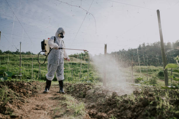 Best Pest Removal Services  in Sale Creek, TN