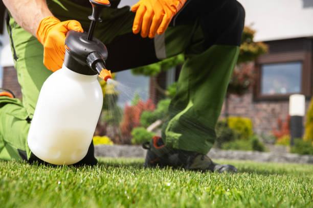 Professional Pest Control in Sale Creek, TN