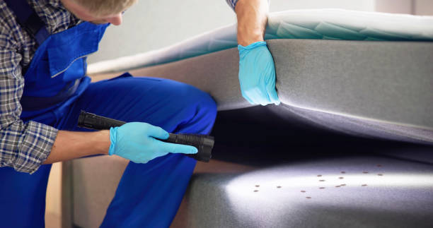 Pest Control for Restaurants in Sale Creek, TN