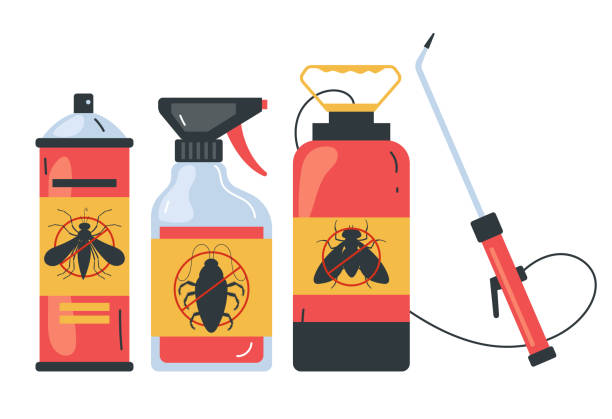 Best Wasp Removal Services  in Sale Creek, TN