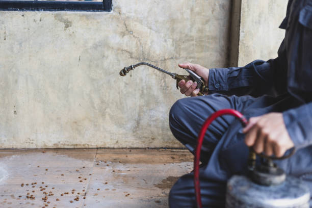 Best Residential Pest Control  in Sale Creek, TN