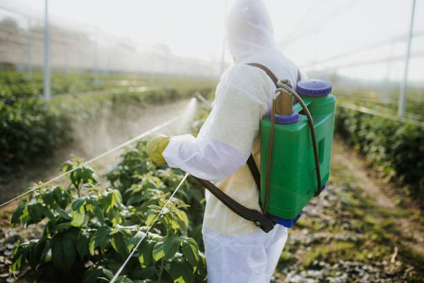 Best Best Pest Control Companies  in Sale Creek, TN